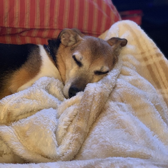 Meet your Posher, Jessica - Picture 2 of 2